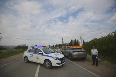 Водителя во Владивостоке оштрафовали за динозавра