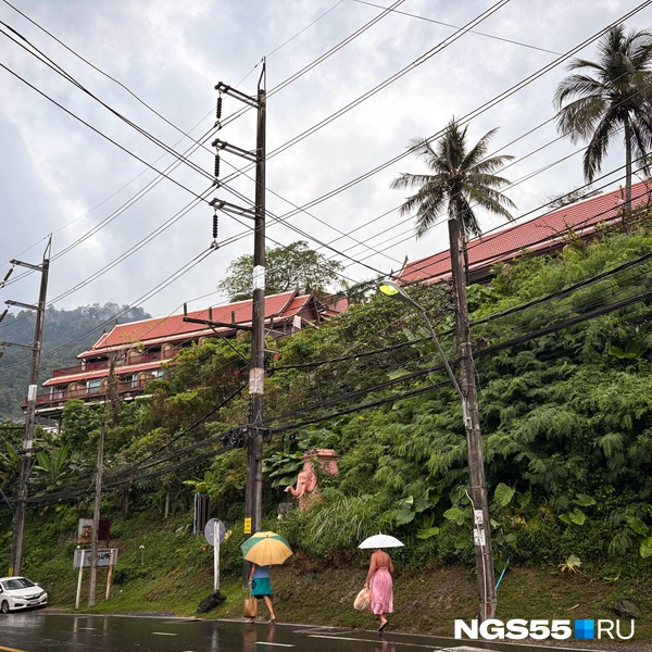 Давно мы не видели столько зелени вдоль городских улиц | Источник: Тамара Башаева / NGS55.RU