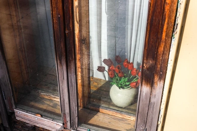 Ветер принесет тепло в Иркутск в понедельник