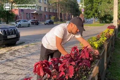 Нарохун Ураев превратил участок у киоска в ботанический сад