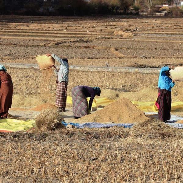 Источник: AJP/Shutterstock/Fotodom.ru