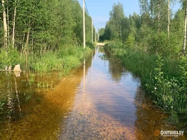 План адаптации к изменениям климата в Петербурге хотят обновить. Затраты оценивают в 923 млн в год | Источник: читатель «Фонтанки»