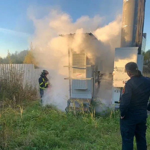 Источник: ГУ МВД РФ по Санкт-Петербургу и Ленобласти