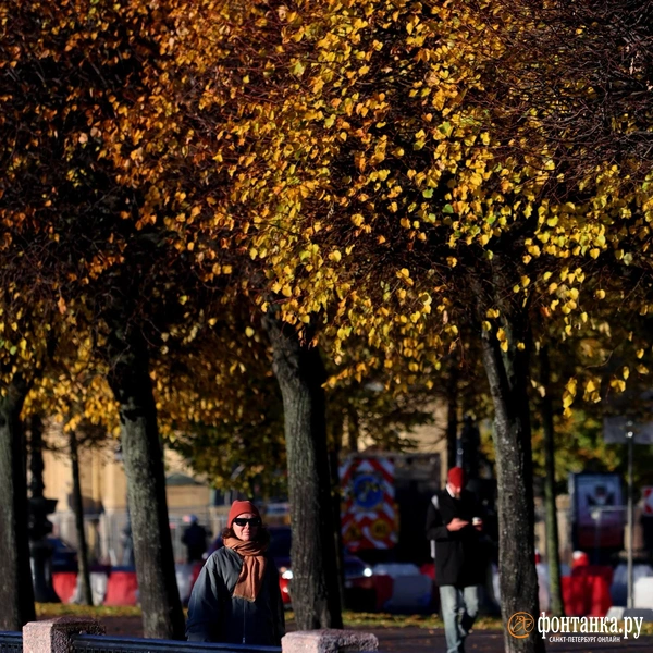 Источник: Валентин Егоршин / «Фонтанка.ру»