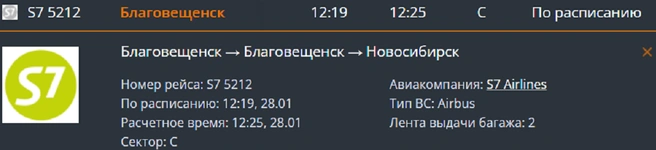 Рейс приземлится в Толмачево после 12:00 часов | Источник: tolmachevo.ru
