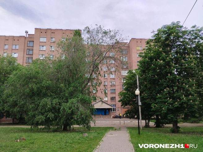 Общежитие находится недалеко от памятника Славы | Источник: Дмитрий Волгин / Voronezh1.ru