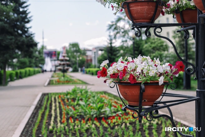Ежегодно города Кузбасса украшают клумбы с цветами | Источник: Ксения Филимонова / IRCITY.RU