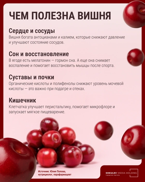 Источник: Мария Романова / Городские медиа