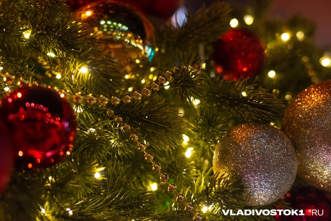 Источник: Елена Буйвол / VLADIVOSTOK1.RU