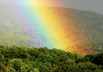 Ученые насчитали 12 видов радуги