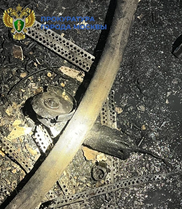 Источник: Официальный канал прокуратуры Москвы