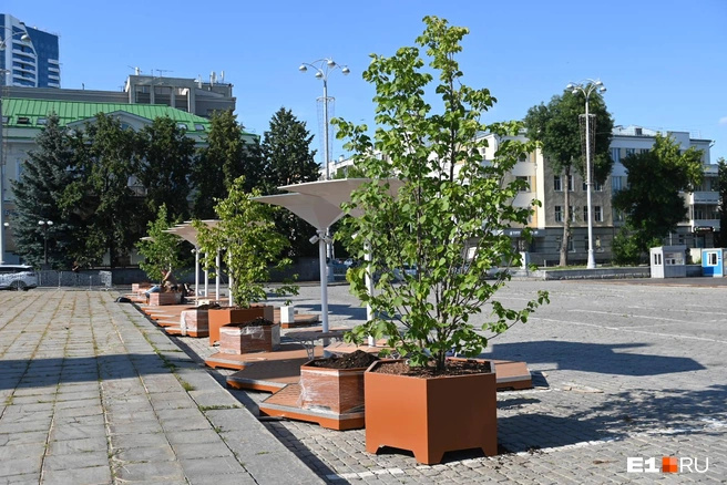 Источник: Дмитрий Емельянов / E1.RU