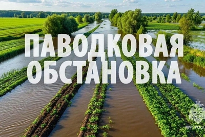 Село Нелькан полностью освободилось от паводковых вод