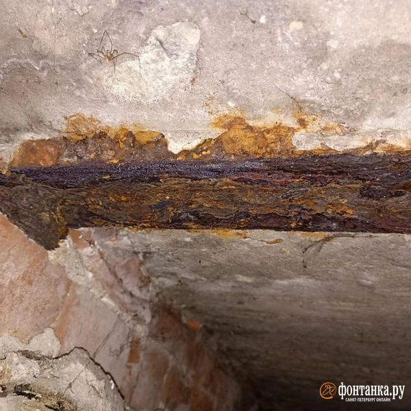 Источник: «Фонтанка.ру»