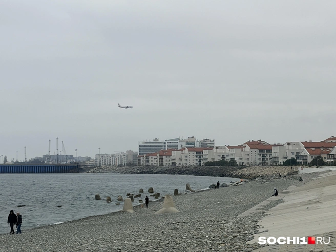 В Сочи нужно развивать природный туризм  | Источник: Анна Грицевич / SOCHI1.RU