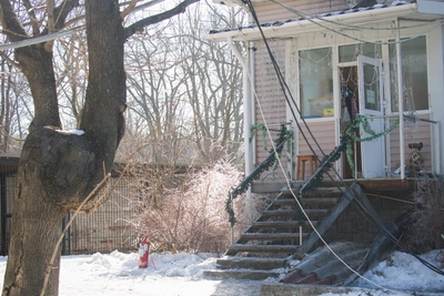 Россиянка помогла семье директора зоопарка после пожара