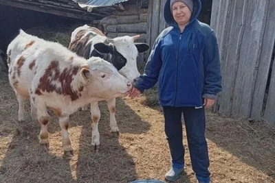 Многодетная амурчанка увеличила поголовье скота через соцконтракт