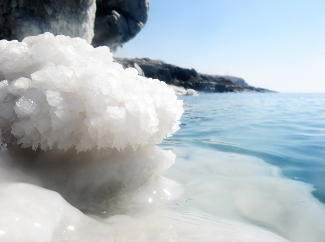 Косметика с водорослями, икрой и солью: почему она очень эффективна