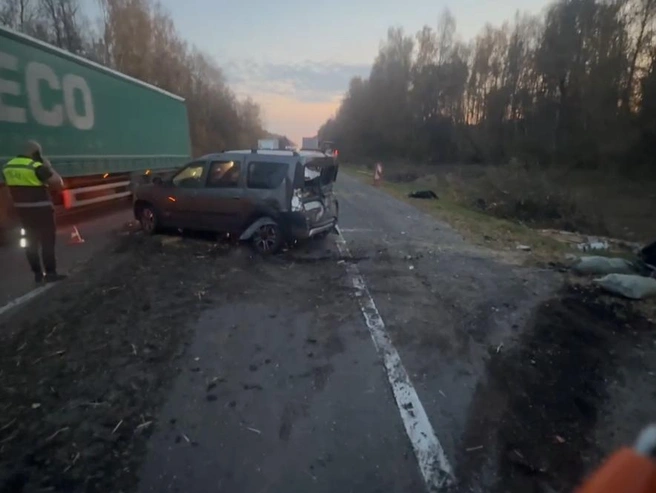 В аварии пострадал пожилой водитель иномарки | Источник: ГАИ по Нижегородской области
