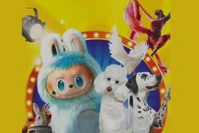 Circus with Labubu violates veterinary legislation in Chita