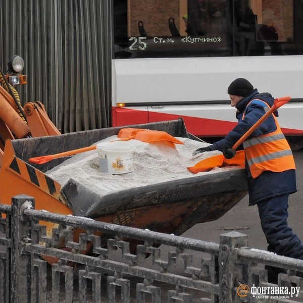 Источник: Михаил Огнев / FONTANKA.RU