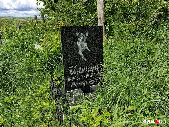У верного друга Илюши настоящее каменное надгробие | Источник: Виктория Федорова / 164.RU