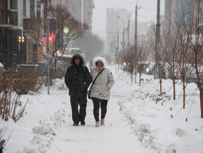 Специалисты советуют носить капюшоны для защиты | Источник: Андрей Бортко / NGS.RU