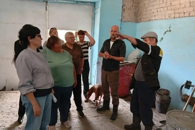 Канализационные воды заливают участки в Борзинском округе