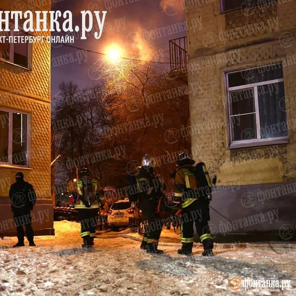 Источник: Дарья Драй / «Фонтанка.ру»
