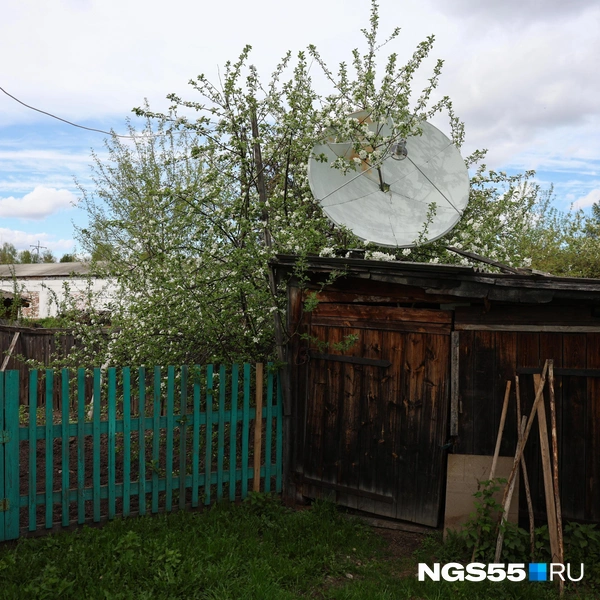 Всё в зелени | Источник: Евгений Софийчук / NGS55.RU