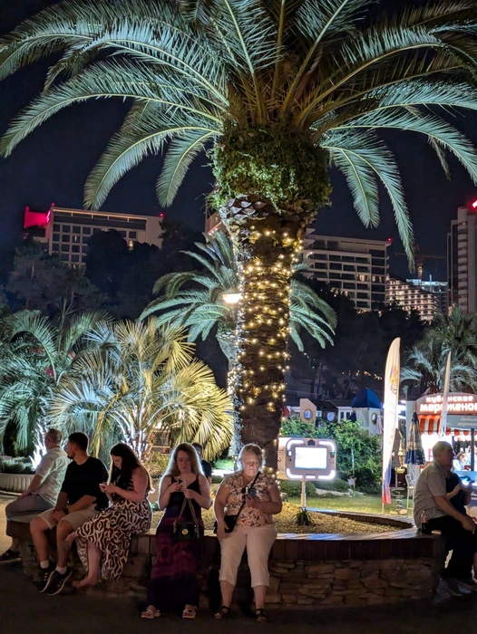 Сочи красив и интересен. Ничуть не уступает экзотическим странам по ухоженности в туристических зонах  | Источник: Оксана Витязь 