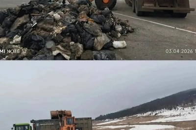 В Томаринском районе виновного в свалке на трассе привлекут к ответу