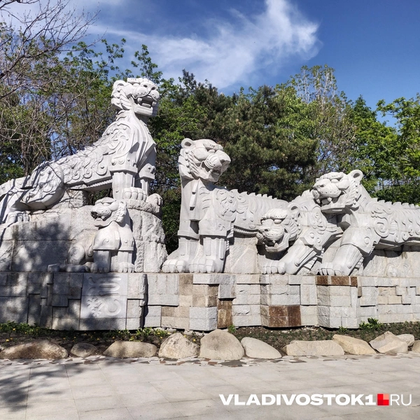 Источник: Екатерина Дымова / VLADIVOSTOK1.RU