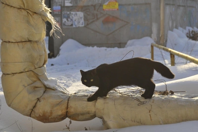 Саратов: отключение горячей воды и отопления на сутки