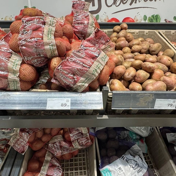 Картофель фасованный | Источник: Дарья Гранкина / 26.RU