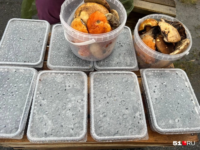 Источник: Александра Балаба