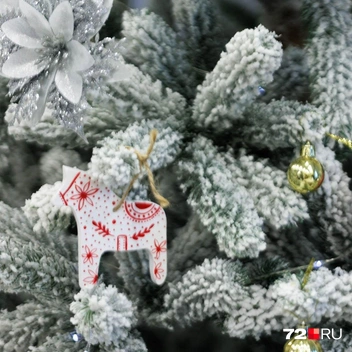 Главный праздник года уже до неприличия близко | Источник: Ирина Шарова / 72.RU