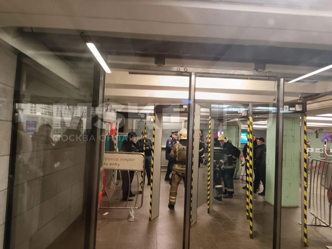 На «Войковской» дежурят полицейские и спасатели из-за подозрительного пассажира | Источник: читатель MSK1.RU
