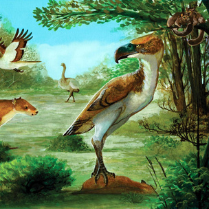 Палеонтологи нашли доисторических птиц-«террористов» совсем не там, где ожидали