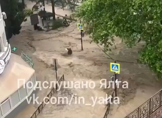 В Ялте 25-летнего мужчину смыло потоком на улице, он погиб | ya62.ru