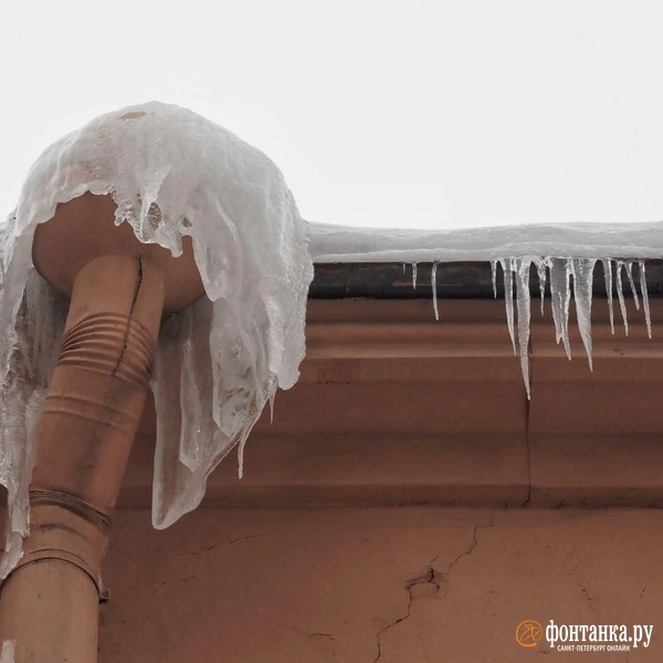 Источник: Михаил Огнев / FONTANKA.RU