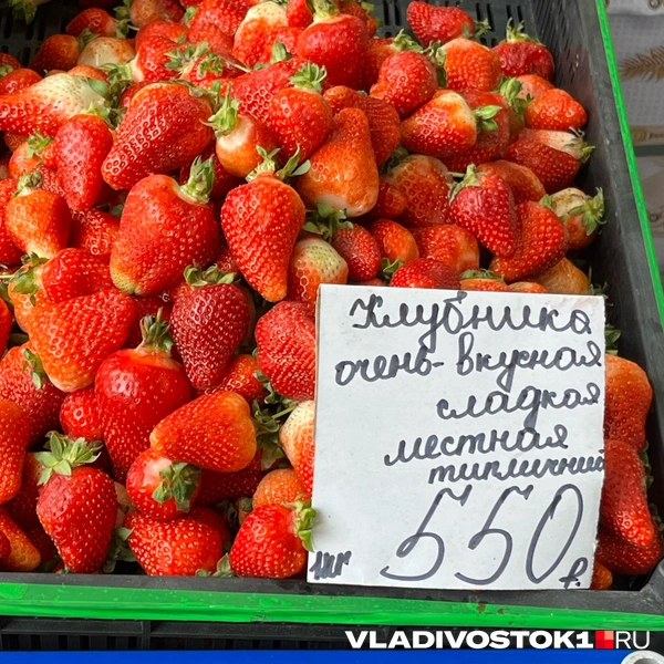 Источник: Елена Буйвол / VLADIVOSTOK1.RU