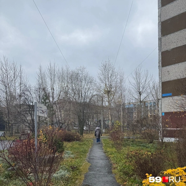 Площадка перед диспансером усажена цветами и кустарниками, нужно пройти между ними за панельку | Источник: Наталья Пальникова / 59.RU