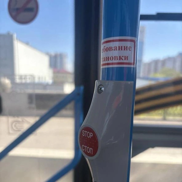 Источник: пресс-служба администрации Барнаула