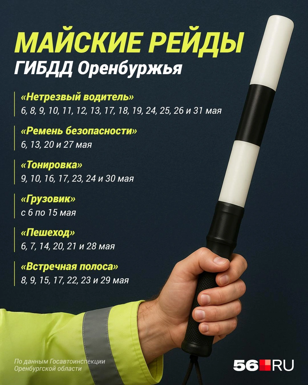 Точные даты всех рейдов | Источник: Полина Авдошина / Городские медиа
