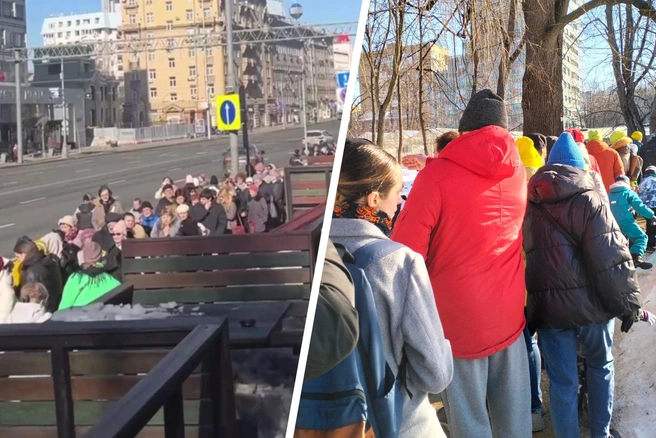 В Москве выстроилась огромная очередь, чтобы посмотреть на тысячи тюльпанов | Источник: Моя Москва / T.me, Ирина Абрамова / Vk.com