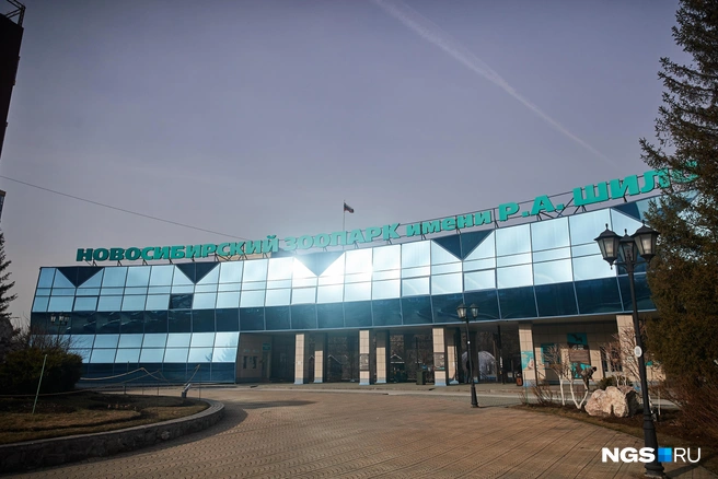 Павильон работает до 19:00 | Источник: Александр Ощепков / NGS.RU