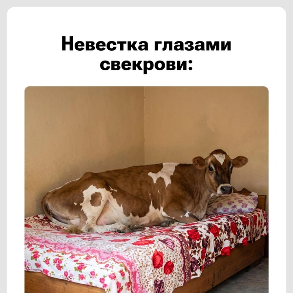 Уж полежать спокойно нельзя… | Источник: Юрий Скулыбердин / Городские медиа