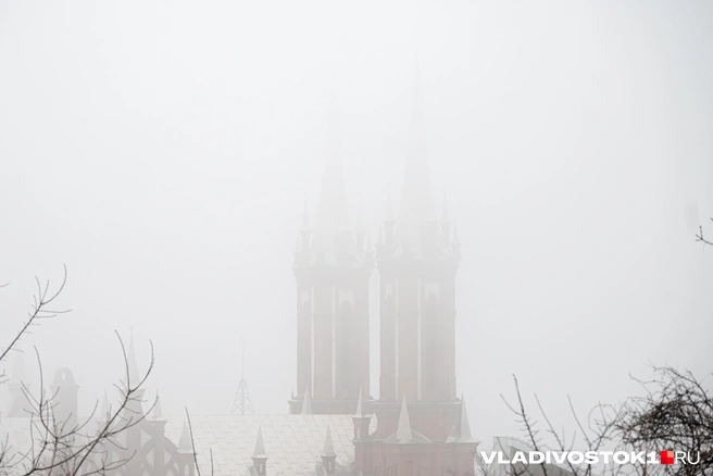 Начался сезон непроглядных туманов | Источник: Елена Буйвол / VLADIVOSTOK1.RU