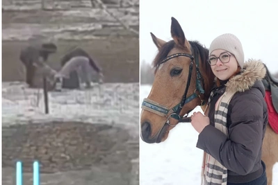 Омская зоозащитница скончалась после избиения